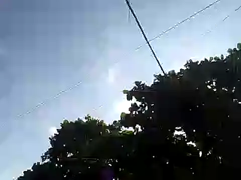 fdvign7 online show from 5, 11, 2025