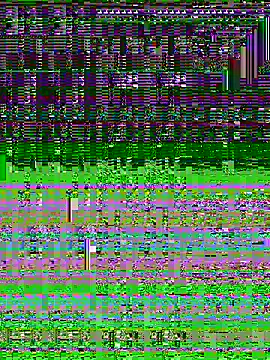 scoatum online show from 24, 4, 2026