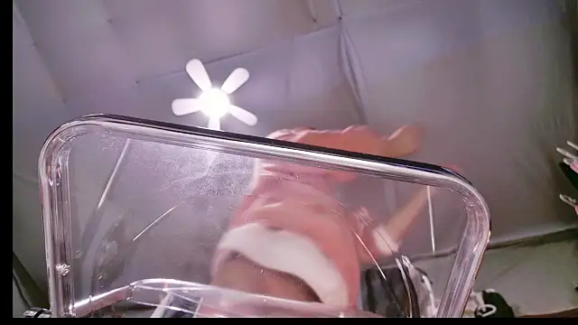 Im IVE LOVE online show from 14, 12, 2024