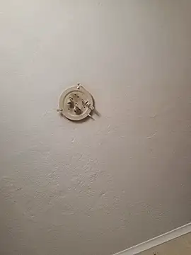 thicktash online show from 6, 2, 2026