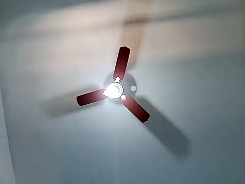 Gostozim7 online show from 5, 2, 2025