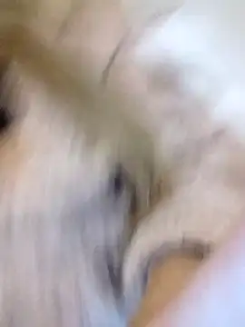 Snapshot of fofinhaa12 chatting on 10, 2, 2026 fofinhaa12 online show from 10, 2, 2026