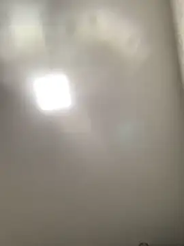 Babzinho  online show from 13, 2, 2025