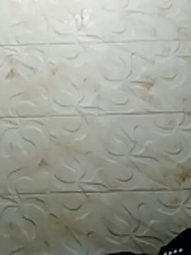 luchoarr online show from 2, 11, 2025