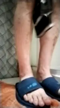 Francobresilien online show from 13, 12, 2024