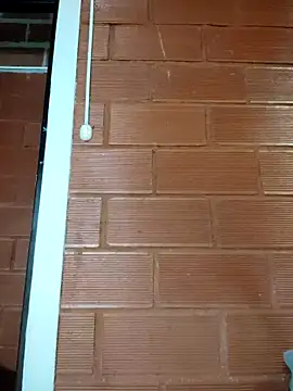 Snapshot of Priyalakshmi_ chatting on 27, 2, 2025 Priyalakshmi online show from 27, 2, 2025