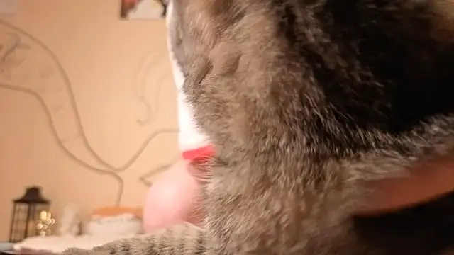 such juicee online show from 5, 4, 2026