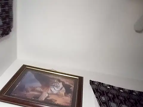 gemini12838 online show from 13, 1, 2025