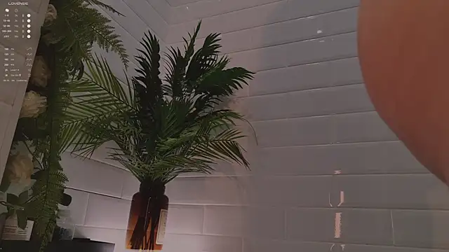 MichaellaMoon online show from 3, 12, 2025