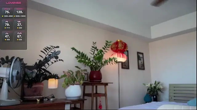 girl next door19 online show from 2, 3, 2026