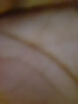 Drippincaty online show from 6, 3, 2026