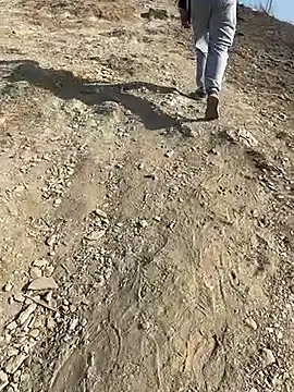 Snapshot of geroAguilar chatting on 28, 2, 2026 geroAguilar online show from 28, 2, 2026