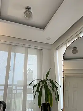 nicollefiorett online show from 1, 3, 2026