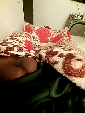 bengala223 online show from 28, 1, 2025