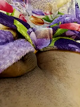 bengala223 online show from 24, 11, 2025