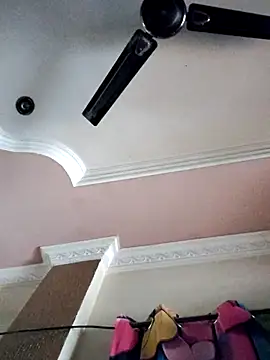 Bangarupapa online show from 26, 10, 2025