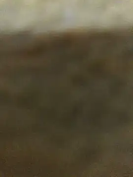 Snapshot of Bigdick_pedro chatting on 9, 9, 2025 Bigdick pedro online show from 9, 9, 2025