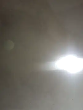  violetta - online show from 5, 11, 2025