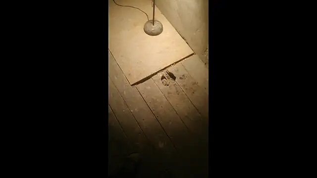 Snapshot of Bdsmslavebi chatting on 23, 3, 2026 Bdsmslavebi online show from 23, 3, 2026