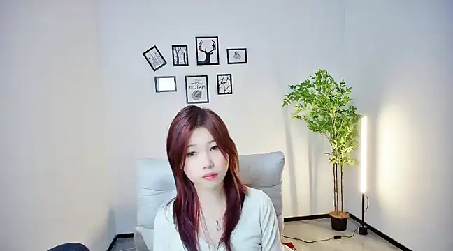 Snapshot of YYBAOBEI chatting on 2, 12, 2024 YYBAOBEI online show from 2, 12, 2024