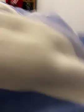 Lcrete online show from 15, 10, 2025