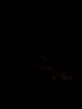 PEACHY439 online show from 13, 11, 2025