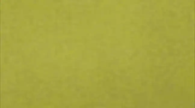 Snapshot of AnneGagner chatting on 9, 3, 2025 AnneGagner online show from 9, 3, 2025