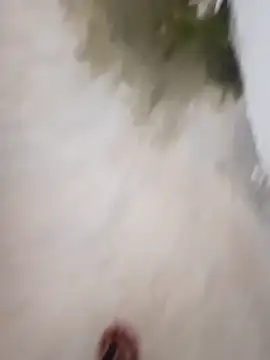 nick05inch online show from 19, 9, 2025