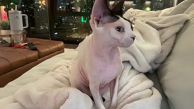 Graciemae baexx online show from 23, 12, 2025