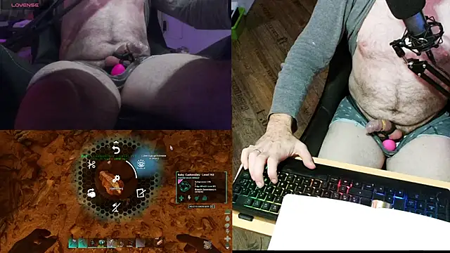 Crosss-23cm online show from 17, 1, 2025