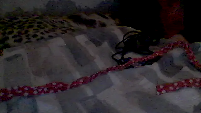 Snapshot of pornstarbrezillian chatting on 7, 10, 2025 pornstarbrezillian online show from 7, 10, 2025