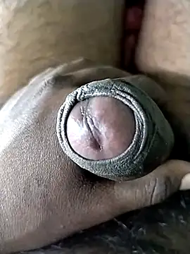 jellydicks online show from 23, 12, 2025