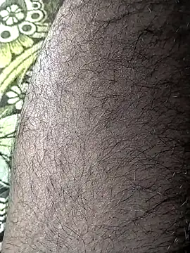 jellydicks online show from 15, 2, 2026