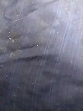 jellydicks online show from 10, 3, 2026