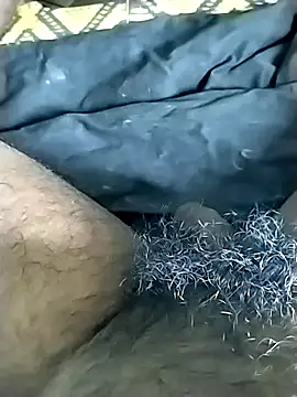 jellydicks online show from 1, 10, 2025