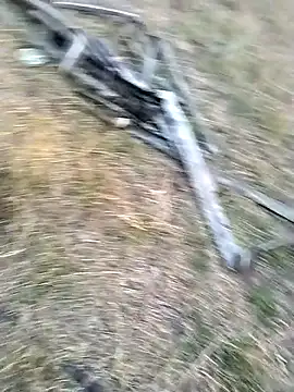 jellydicks online show from 29, 3, 2026