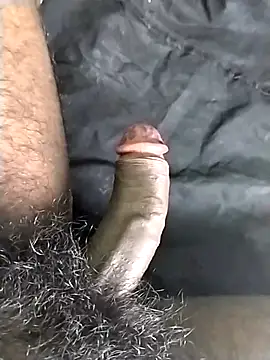 jellydicks online show from 24, 10, 2025