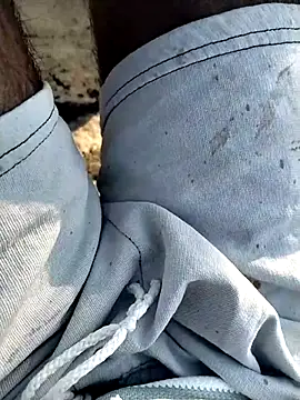 jellydicks online show from 16, 11, 2025