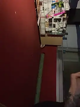 Snapshot of chavito2223 chatting on 10, 2, 2026 chavito2223 online show from 10, 2, 2026