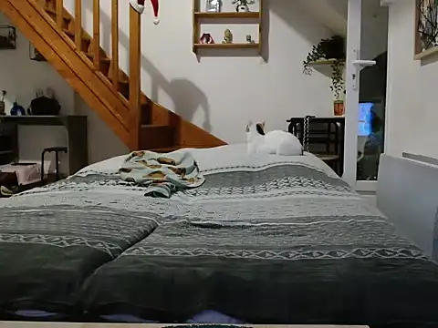 Lauzo21 online show from 5, 12, 2025