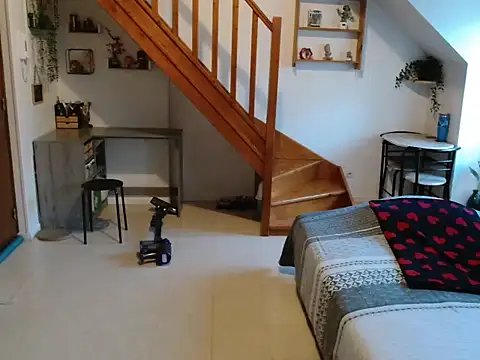 Lauzo21 online show from 26, 2, 2026