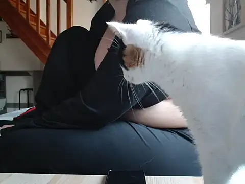 Lauzo21 online show from 19, 3, 2026