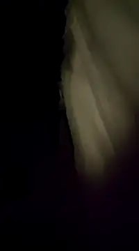 BurroParao online show from 5, 12, 2024