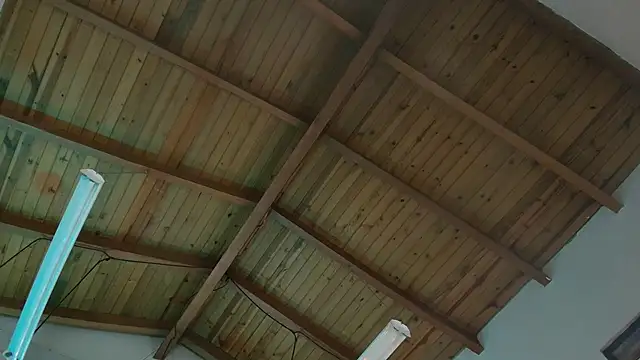 Venusflame   online show from 29, 11, 2025