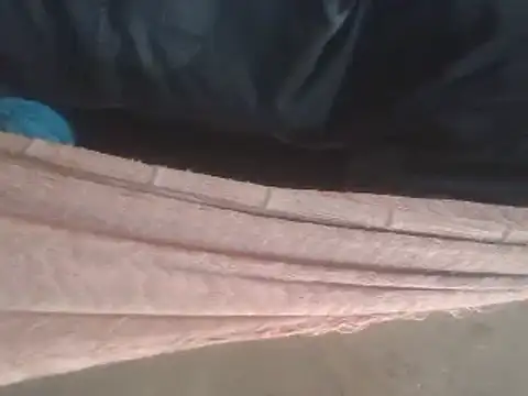 tripexnte online show from 12, 2, 2025