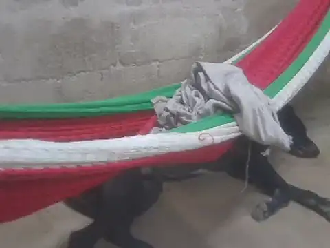 tripexnte online show from 16, 2, 2025