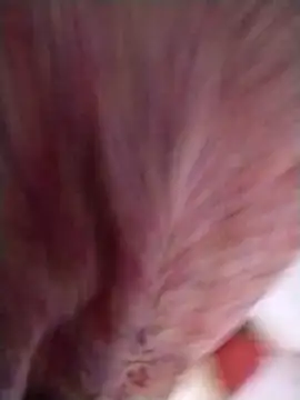 Pushpavathi 78 online show from 13, 4, 2026