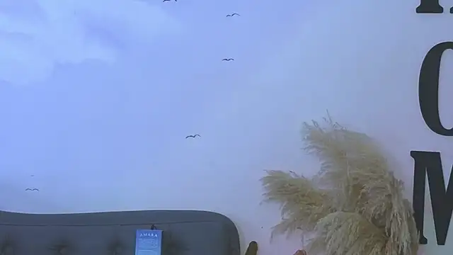 carolayrosse online show from 23, 12, 2025