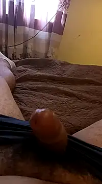 pedritolobito online show from 31, 1, 2025