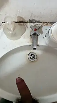 pedritolobito online show from 27, 2, 2025